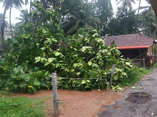 Udupi heavy rain